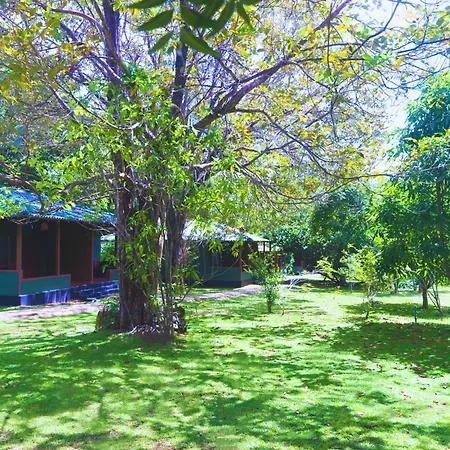 Pinthaliya Resort Sigiriya Exterior photo