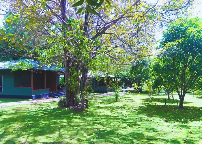 Pinthaliya Resort